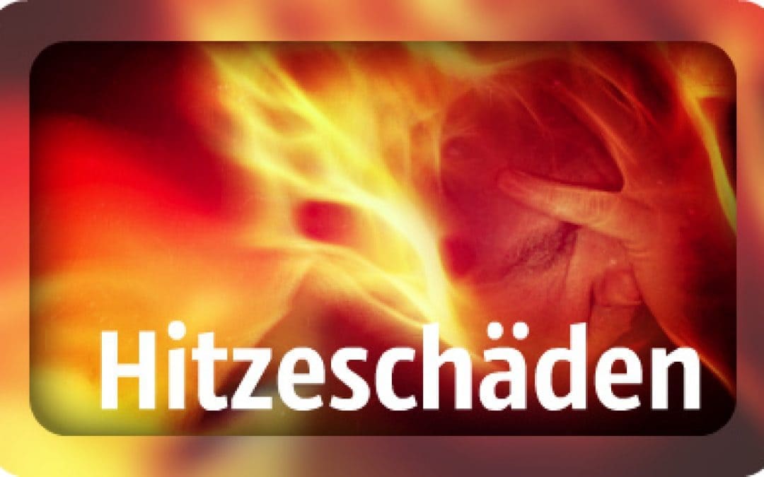Hitzeschäden