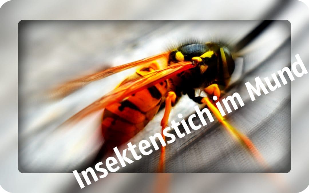 Was tun bei Insektenstich im Mund bei Kindern?
